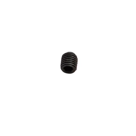 SCREW FOR REAR AXLE BEARING