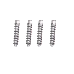 KIT OF BRAKE PADS SECURING - SCREWS AND SPRINGS