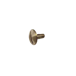 R3 AND R4 BOX'S HELMET VISOR SCREW