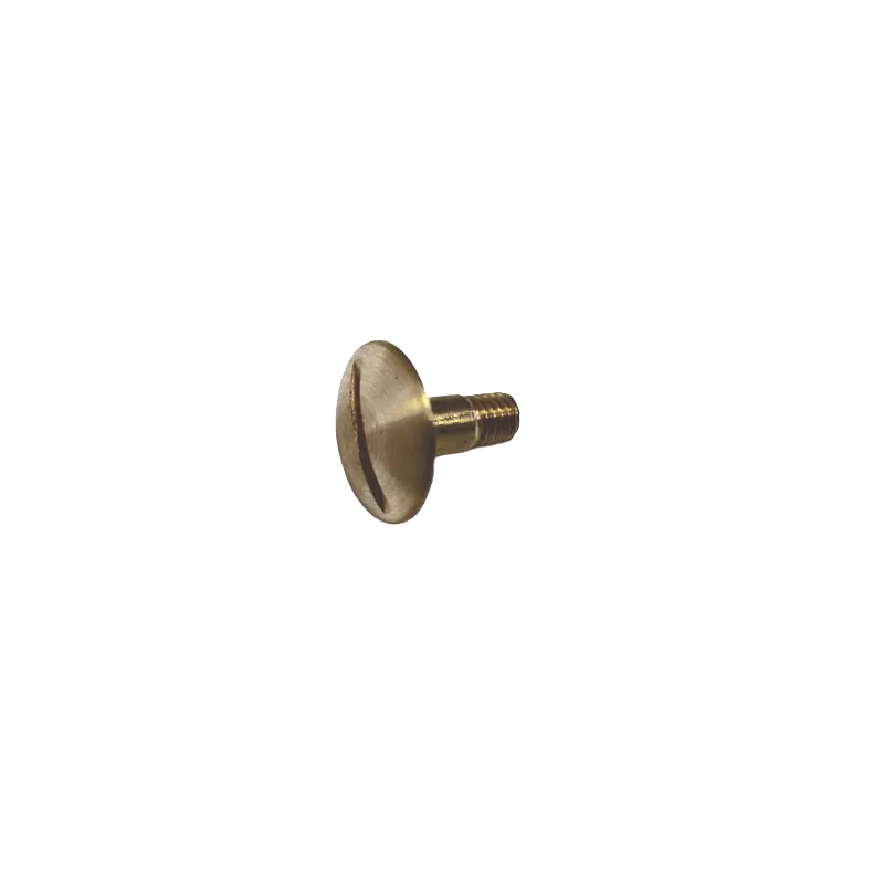 R3 AND R4 BOX'S HELMET VISOR SCREW