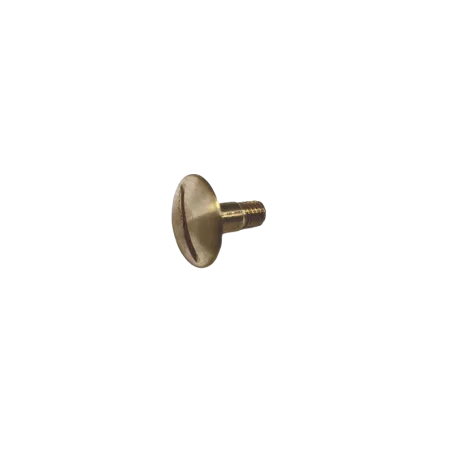 R3 AND R4 BOX'S HELMET VISOR SCREW
