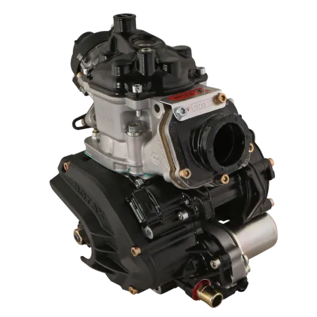 125 MAX EVO ROTAX