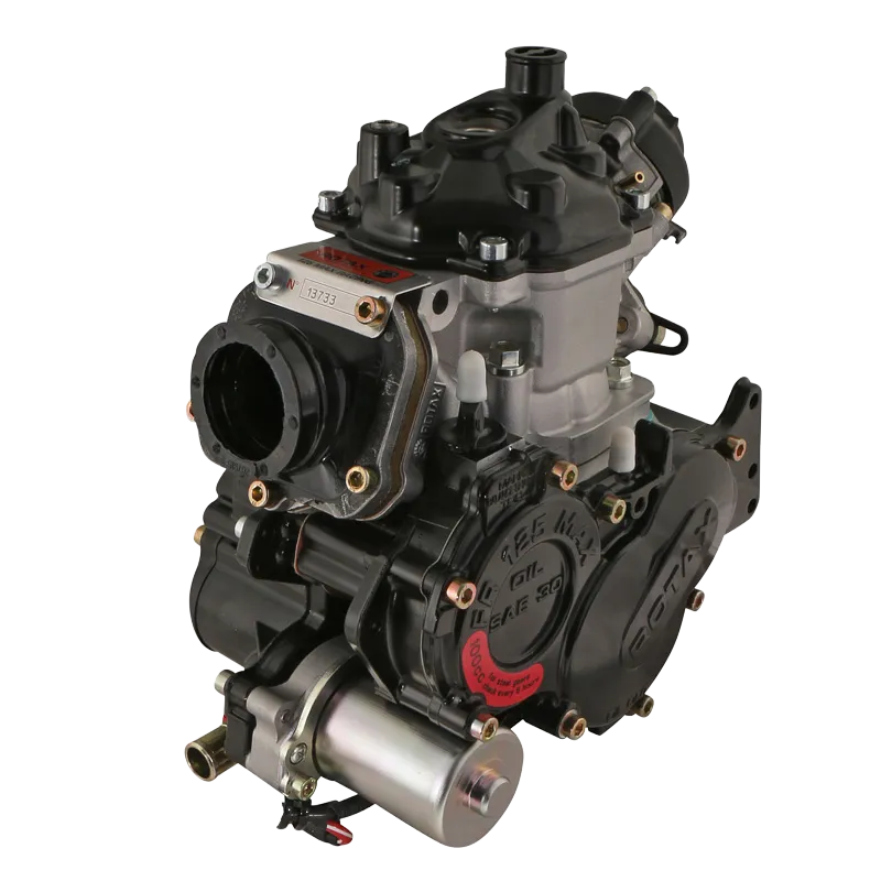 125 MAX EVO ROTAX
