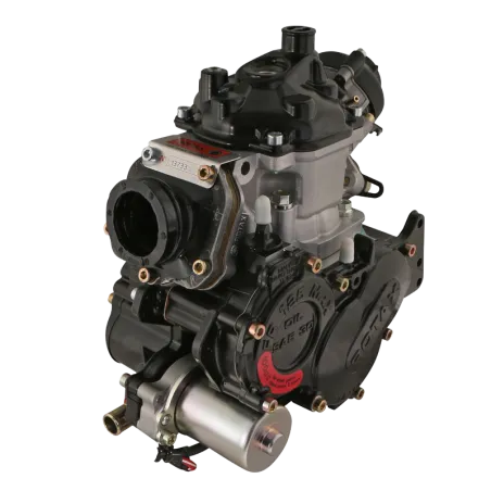 125 MAX EVO ROTAX