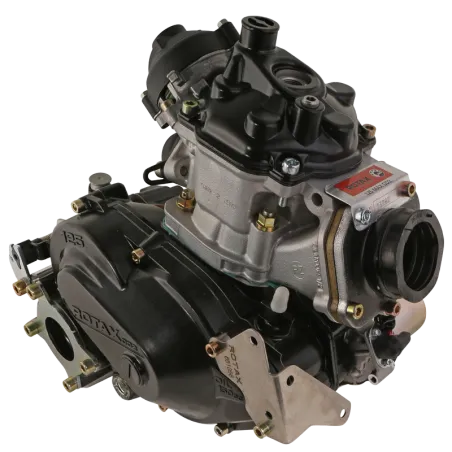 ROTAX 125 MAX DD2 EVO