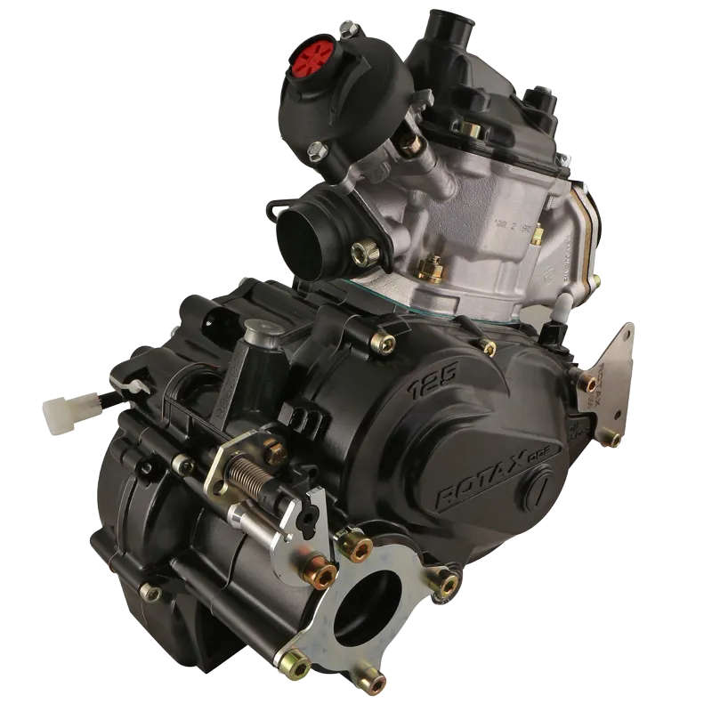 ROTAX 125 MAX DD2 EVO