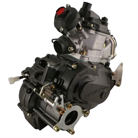 ROTAX 125 MAX DD2 EVO