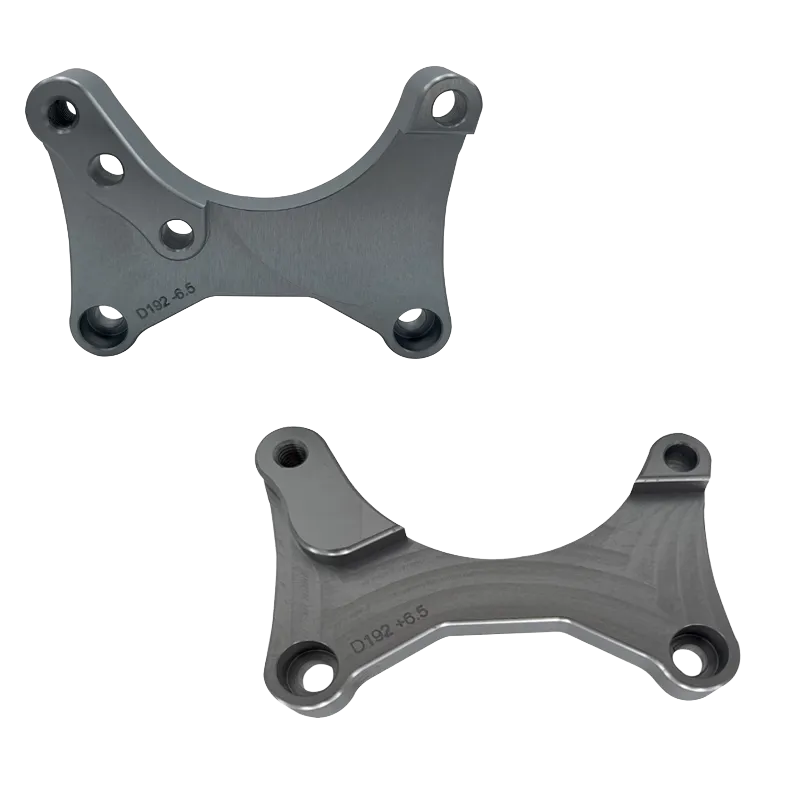 DECENTRALIZED SUPPORT FOR D20 CALIPER AND Ø192 DIS