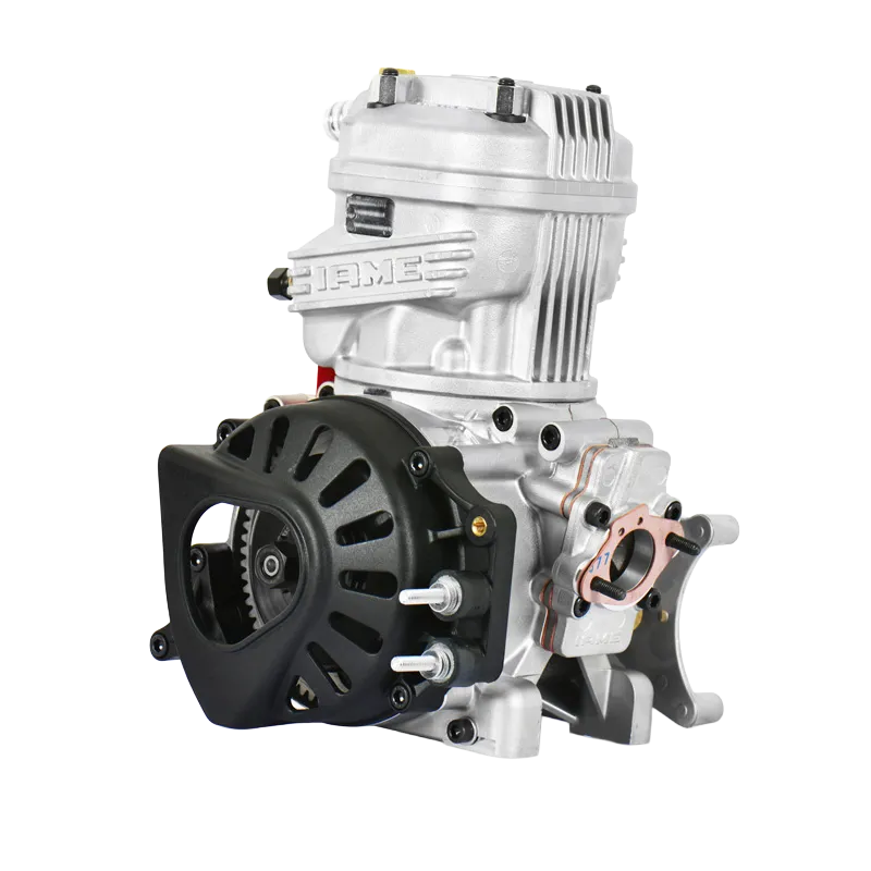 PARILLA IAME X30 ENGINE