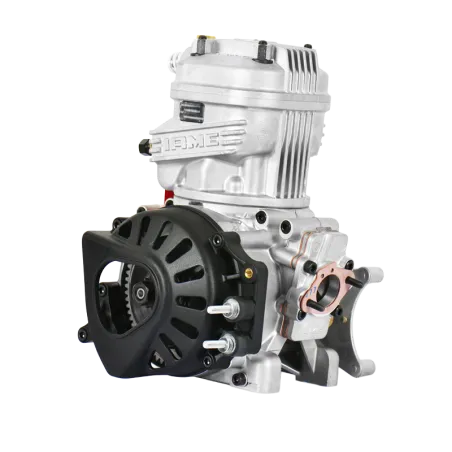 PARILLA IAME X30 ENGINE