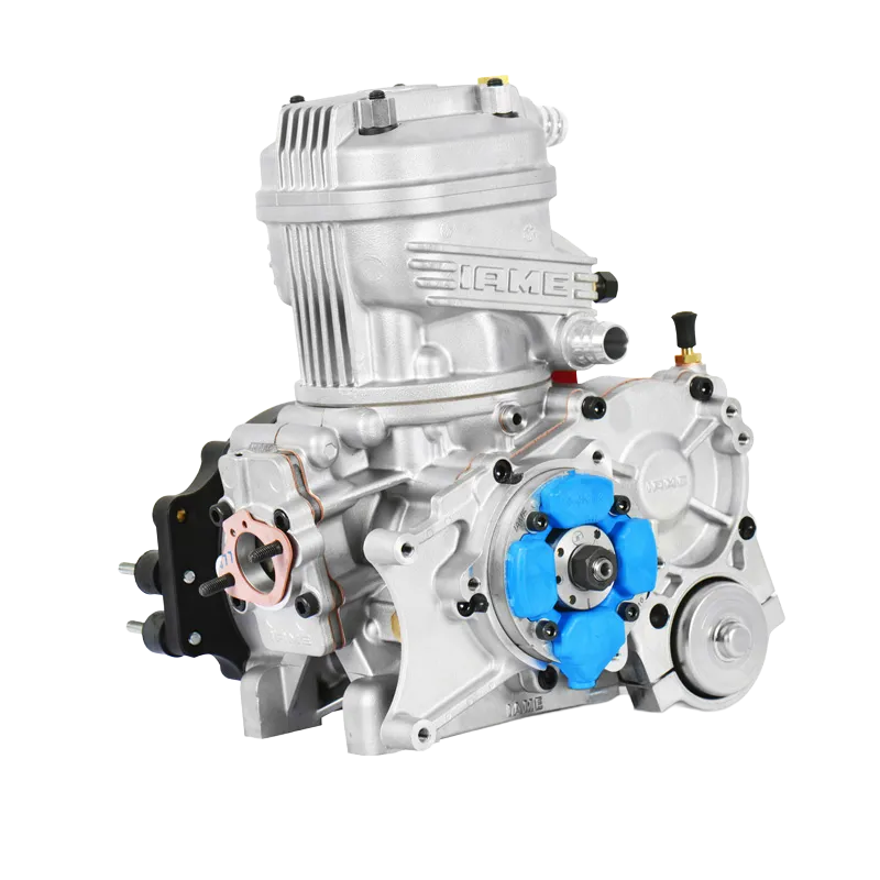 PARILLA IAME X30 ENGINE