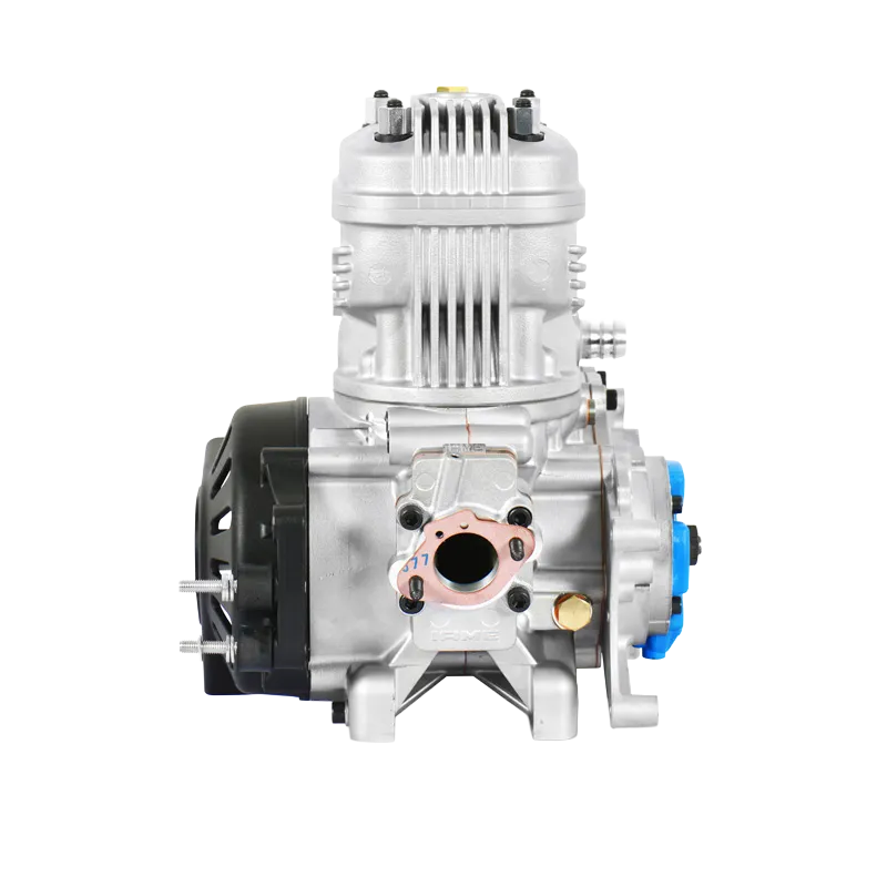 PARILLA IAME X30 ENGINE