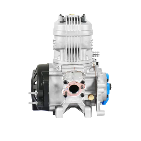 PARILLA IAME X30 ENGINE