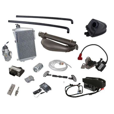 ROTAX 125 MAX DD2 EVO avec batterie