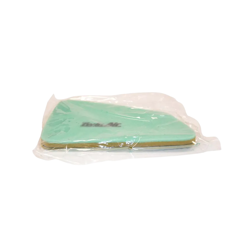 FILTER ELEMENT DD2 EVO