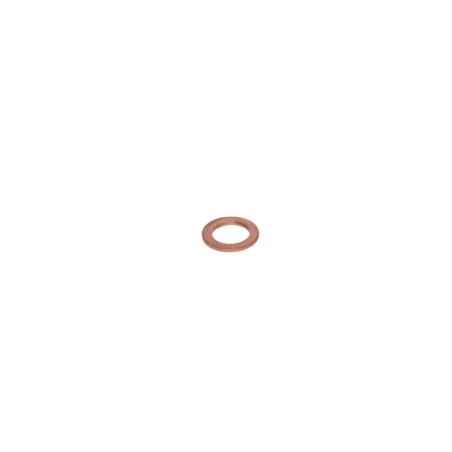 GASKET RING 6X10