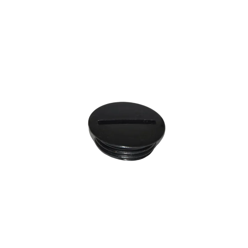 PLUG SCREW