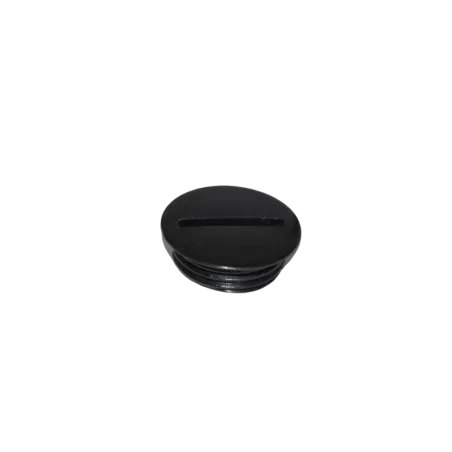 PLUG SCREW