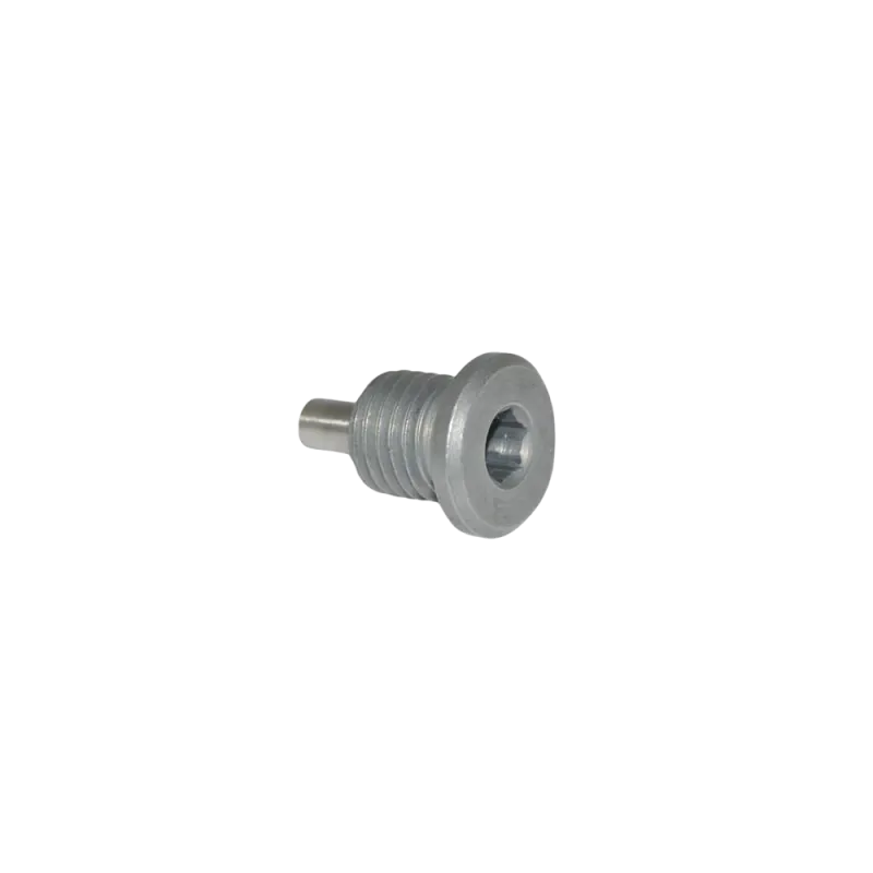 MAGNETIC DRAIN PLUG