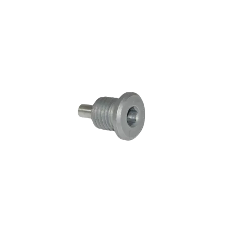 MAGNETIC DRAIN PLUG