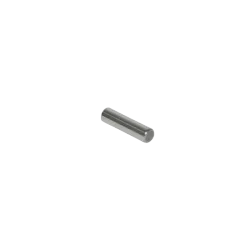 PION D4 L15.8