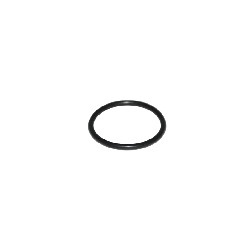 O RING