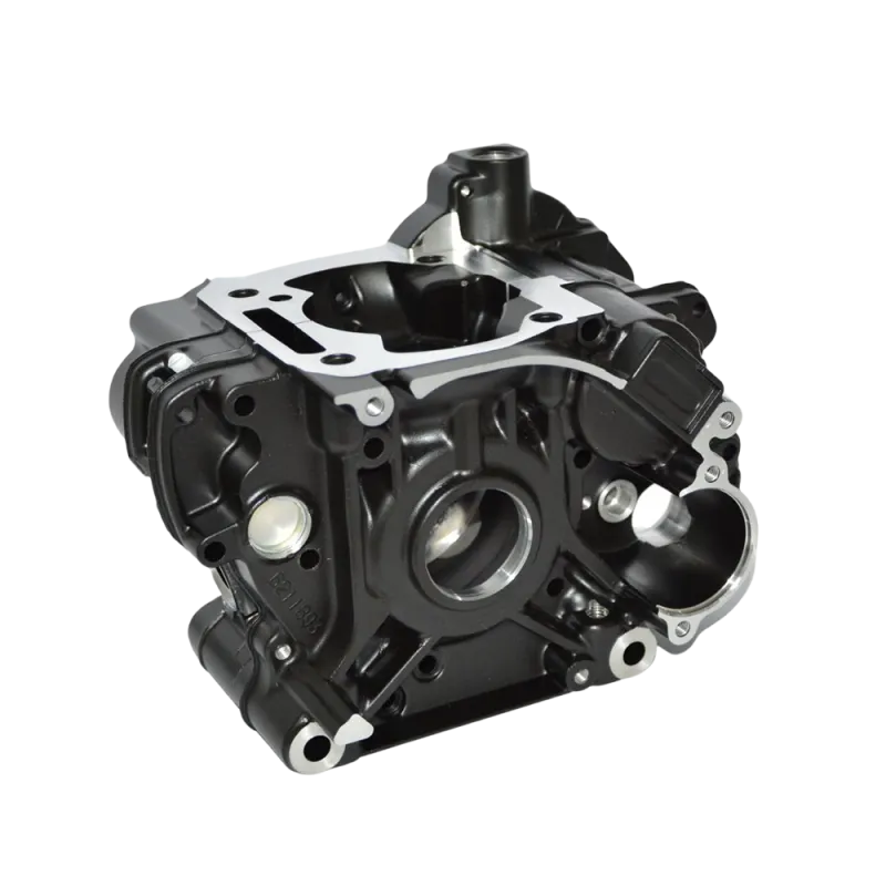 CRANKCASE ASSY MAX EVO