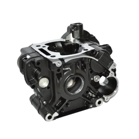 CRANKCASE ASSY MAX EVO
