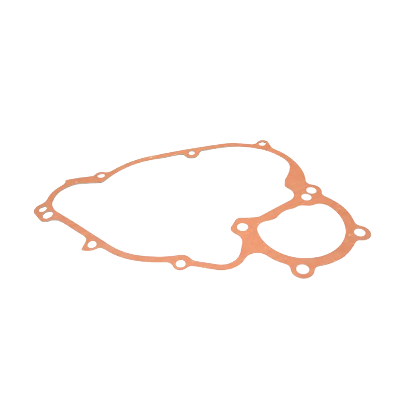 DD2 GASKET
