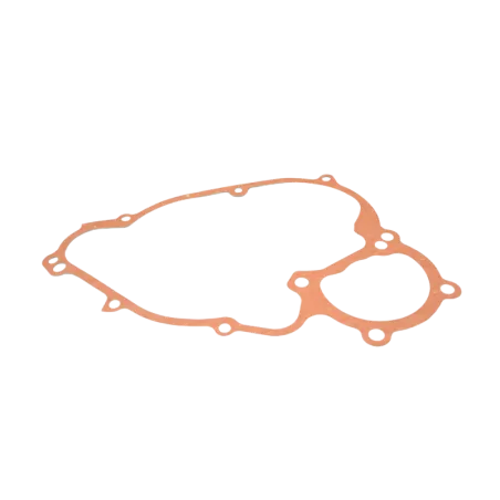 DD2 GASKET