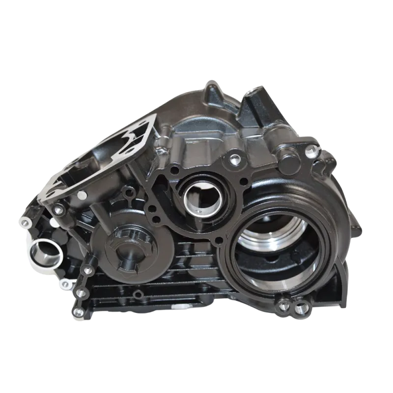 DD2 EVO CRANKCASE ASSY