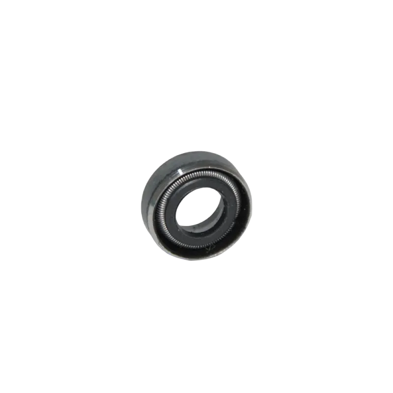 OIL SEAL 6X11X3/4.5