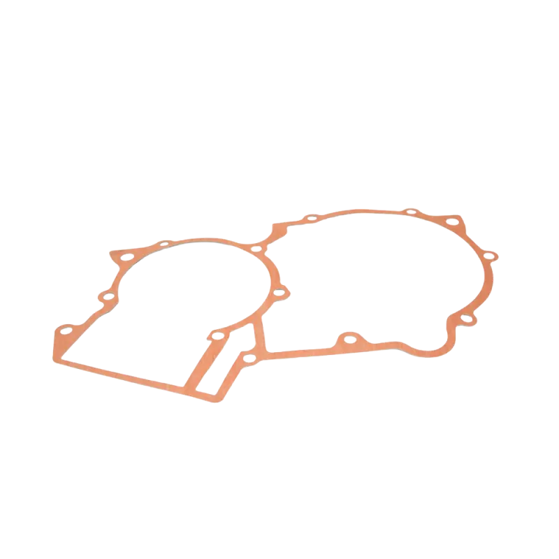 DD2 GASKET