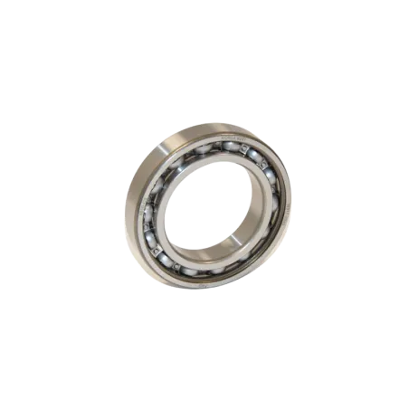 DD2 BALL BEARING