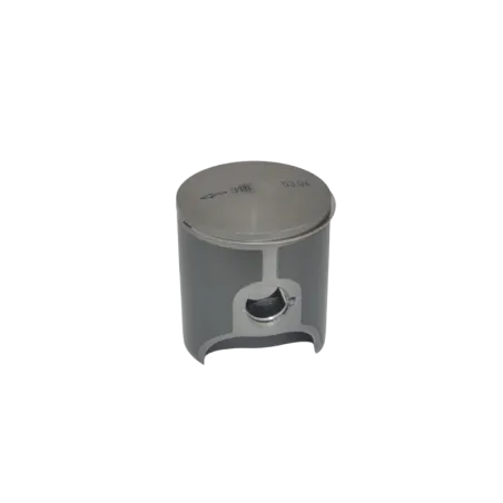 PISTON ASSY 53.94