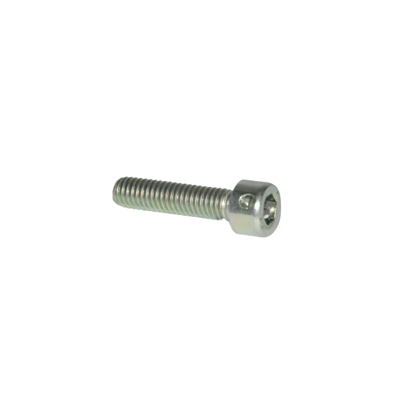 ALLEN SCREW M6X25 WITH HOLE