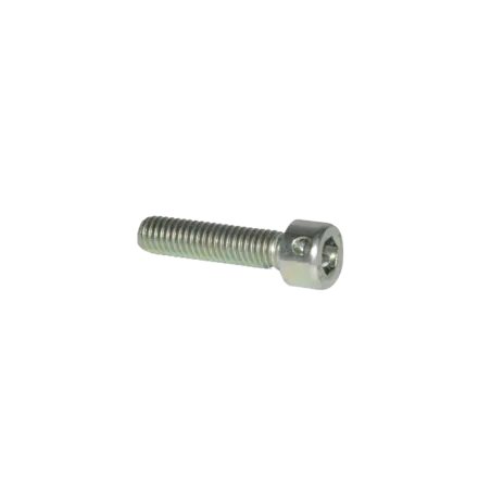 ALLEN SCREW M6X25 WITH HOLE