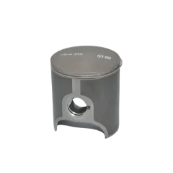 PISTON ASSY 53.93