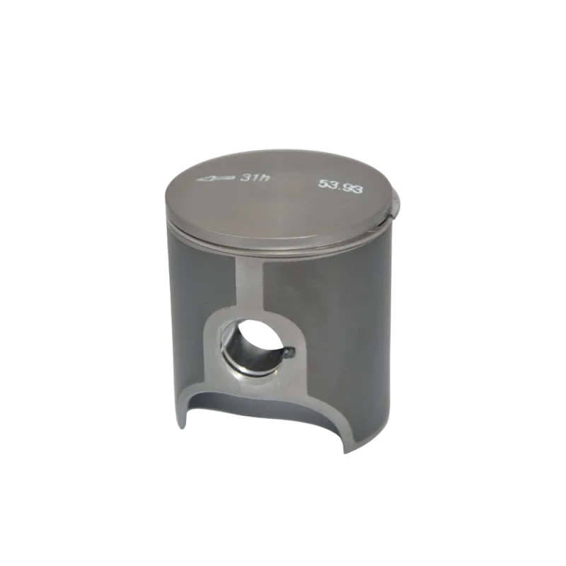 PISTON ASSY 53.93