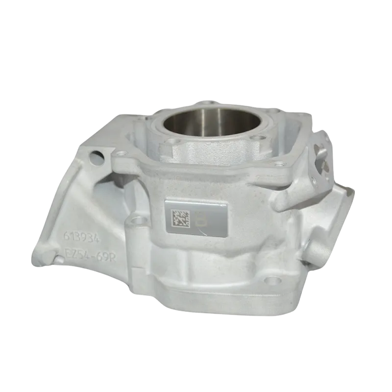 DD2 EVO ENGINE CYLINDER 2024 'A'