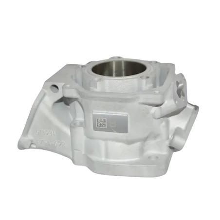 DD2 EVO ENGINE CYLINDER 2024 'AB'
