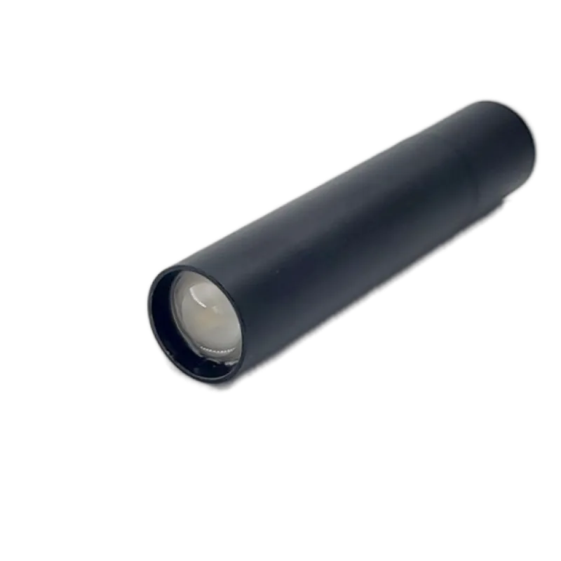LAMPE INSPECTION