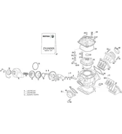 CYLINDRE - ROTAX 125 MAX DD2