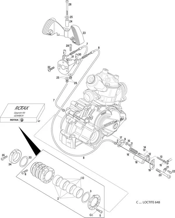GESCHWINDIGKEITSREGELUNG/GETRIEBE – ROTAX 125 MAX DD2