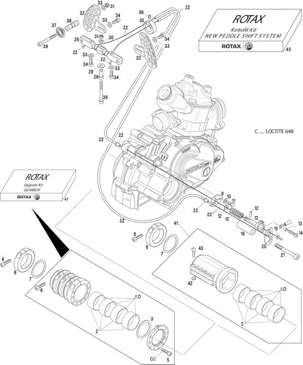 GESCHWINDIGKEITSREGELUNG 2010/GETRIEBE – ROTAX 125 MAX DD2
