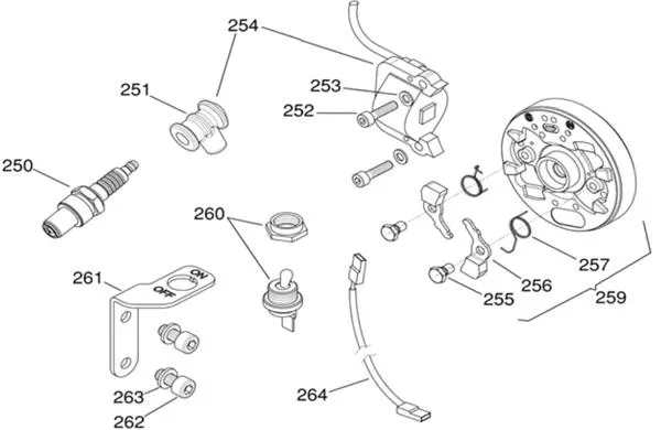 IGNITION - IAME MINIME FFSA GAZELLE 60CC