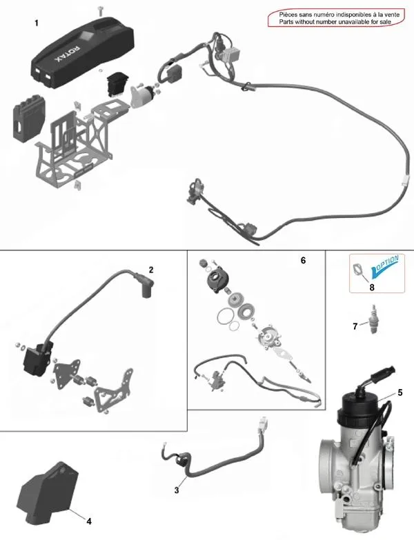 KIT DE RENDIMIENTO MAX EVO (PARA ROTAX MAX RACING) - ROTAX 125 MAX-JUNIOR-NANO EVO