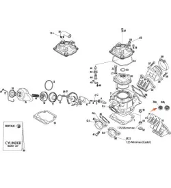 CYLINDRE - ROTAX 125 MAX-J125-MINI-MICRO