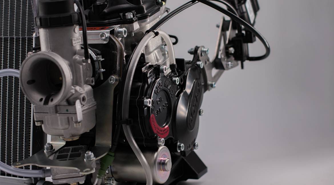 What is the advantage of a Rotax karting engine?